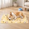 Anti Bite Pet Cooling Mat Non-Slip Pet Ice Cushion Floor Mat Cool Nest  for Small Dogs