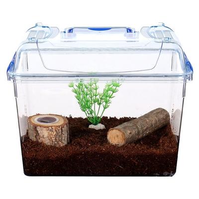 Sapilpung Stag Beetle Clean Beginner Set, 1 Set, Korean Toy Supplies