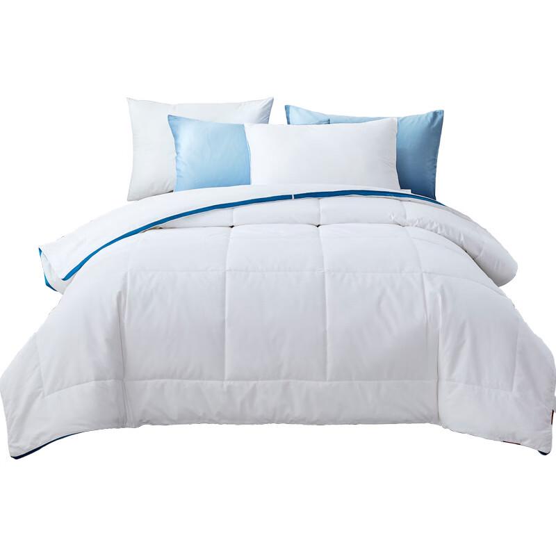 

Mendale Simple Aesthetics Silky Winter Duvet
