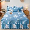 Gonna da letto principessa spazzolata in stile coreano - Copertura Simmons ispessita a doppio lato