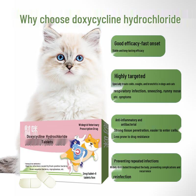 Doxycyclin HCl Tabletten für Erkältung und Atemwegsprobleme bei Haustieren