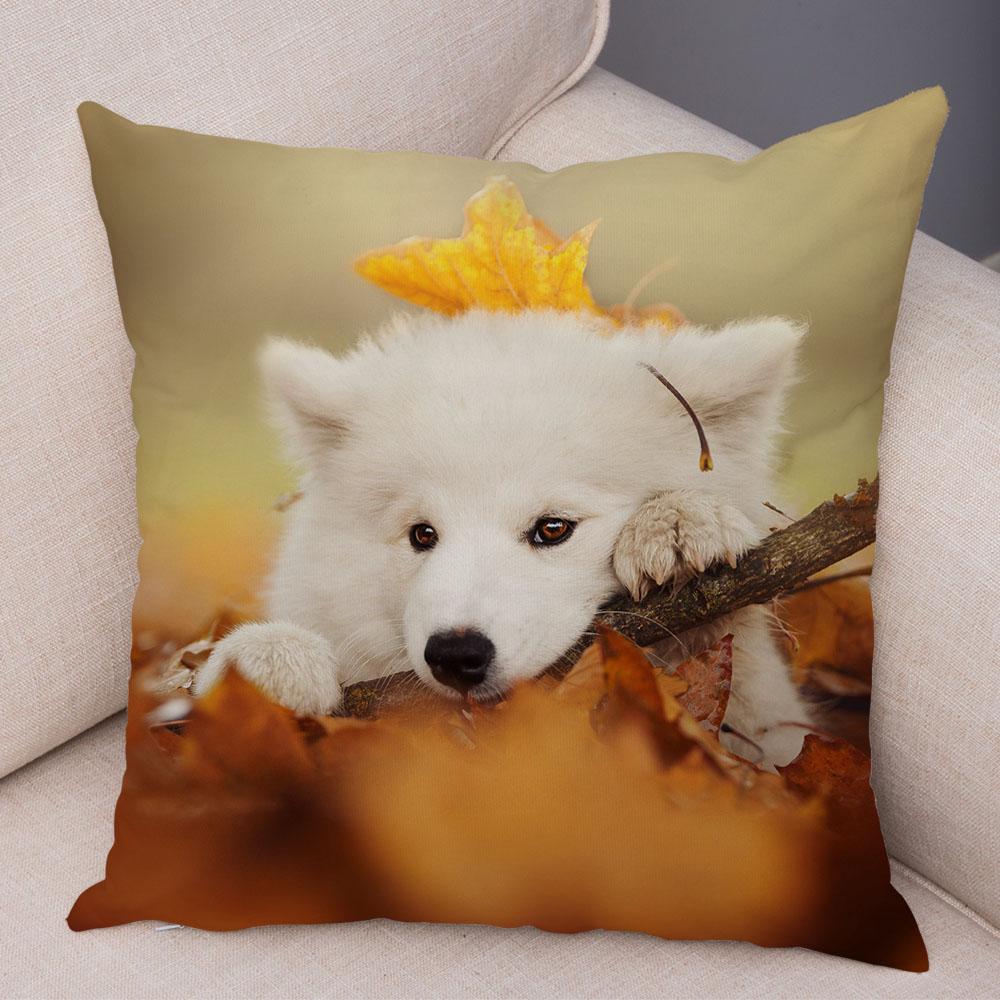 50 Stil Husă de Pernă Câine Alb Drăguț Samoyed Decor Husă de Pernă Animal de Companie Iubitor Husă de Pernă Moale de Pluș pentru Canapé Cameră Copii