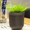 6pcs Flower Pots Hanging Planter for Succulent Plant Wall Mounted Mini Planter with Removable Handle Office Decorations