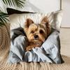 1pc Pillowcase, Comfortable and Cute Yorkshire Design, Soft and Comfortable Polyester Short Plush Fabric, Single-Sided Print, Pillow Insert Not Includ