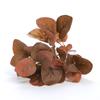 Silk Eucalyptus & Money Leaves for Wedding Decoration - 5-Prong Artificial Greenery Wall Accessories