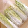 CHAHUA Perforated Food Storage Bags