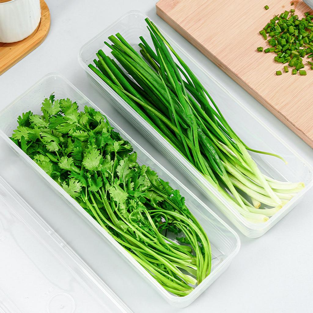 Durable PP Material Airtight Food Storage Container Home Kitchen Organizers For Organizing Scallions Ginger Garlic