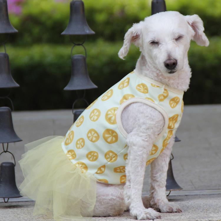 Summer Thin Pet Clothes Fluffy Skirt Than Bear Teddy Puppy Dress Dog Princess Dress