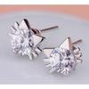 Elegant Cat Elf Stud Earrings Silver Plated White Copper Zircon Earrings for Women Trendy Accessories Gift