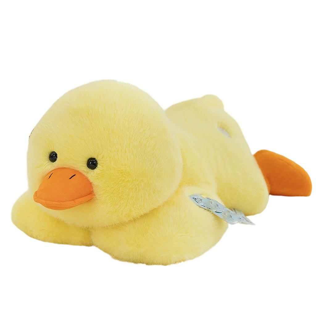 Plush Toys, Cute And Perfect Birthday Gifts For Friends And Classmates, Graduation Gifts