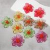 1 Pair Women Earrings Transparent Flower Shape Acrylic Earrings Lightweight Stud Earrings Jewelry Gift