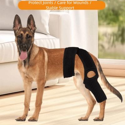 Köpek – Köpek bakım ürünleri