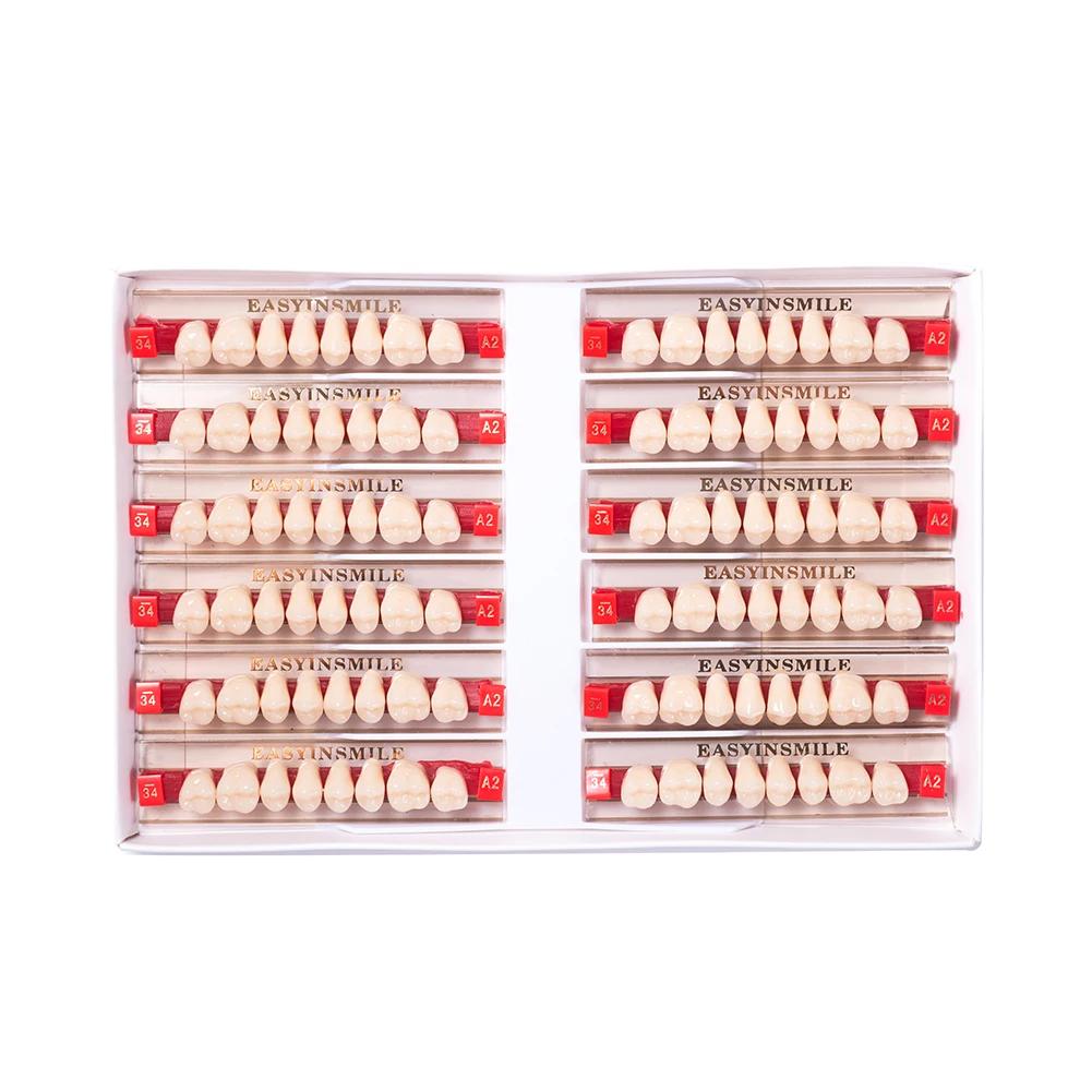 16/12 Sätze/Karton Zahnprothese Zähne Oberkiefer Frontzähne Unterkiefer Seitenzähne Dentier Synthetisches Polymerzähne Zahnmedizinische Ausbildungsmodell