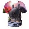 3D Rabbit Print Short Sleeve Tee Summer Kid Apparel For Daily Entertainment Outdoor Trip Weekend Family Relax Time