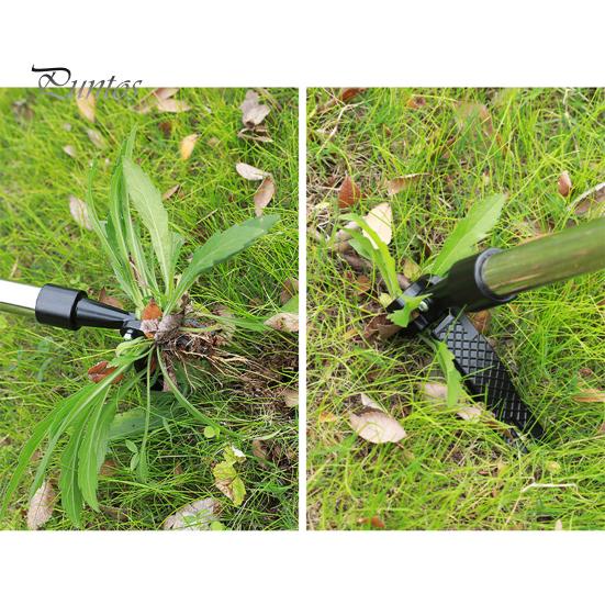 Detachable Weed Puller Set Stand Up Weeding Tool Metal Heavy Duty Weed Remover with Long Handle And Claw for Gardens Lawns