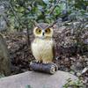 Waterproof Cute Miniatures Garden Display Ornament Desktop Figurines Decor Resin Fake Owl Sculpture for Courtyard Patios