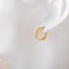 Korean Fashion High-End Niche French Earrings: New Design for Women, Internet Celebrity Style