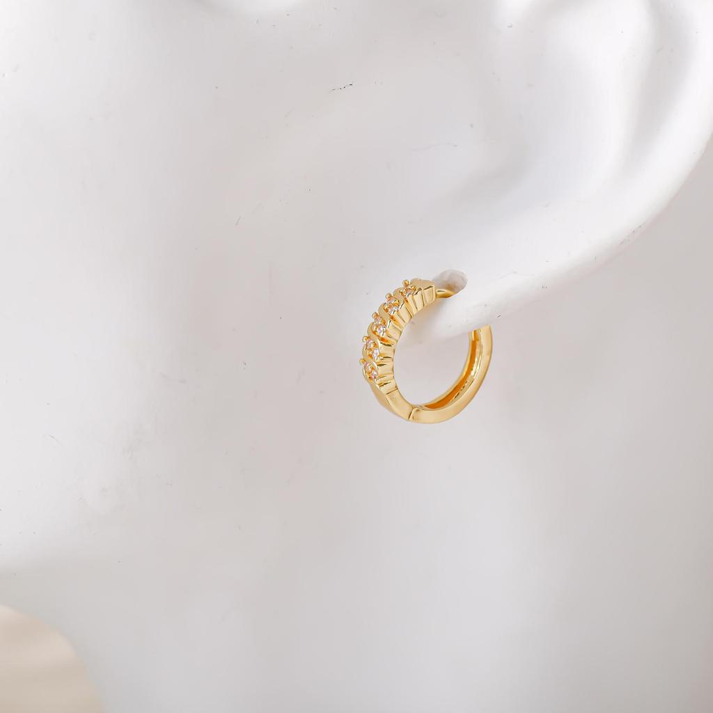 Korean Fashion High-End Niche French Earrings: New Design for Women, Internet Celebrity Style