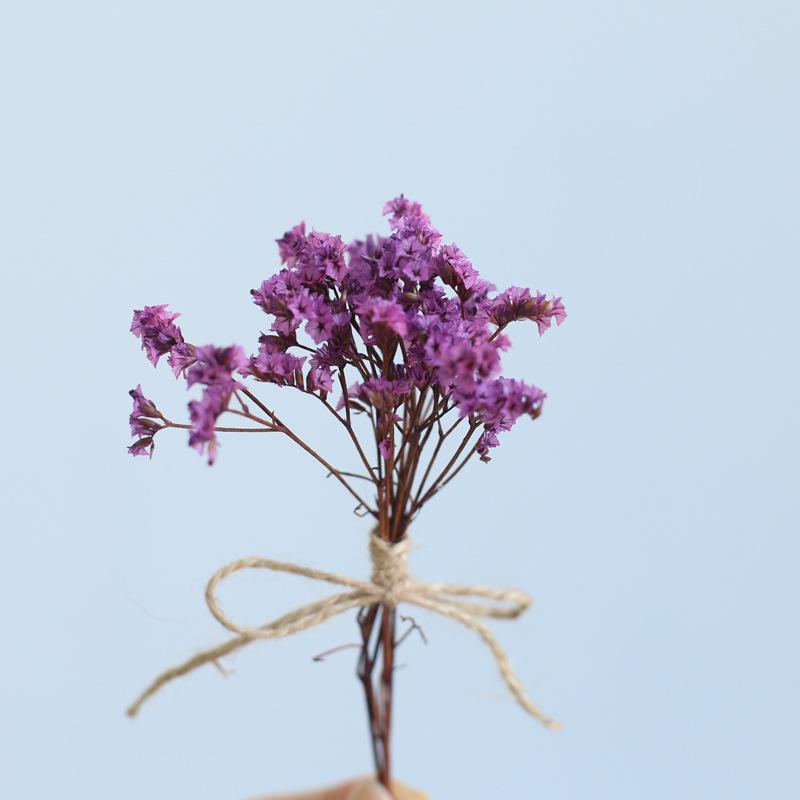 12cm Preserved Flower Boutonniere: Mini Bouquet for Bride, Bridesmaid, Wedding, Gift Box, Party Favor Decoration