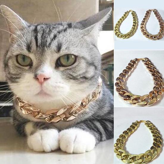 punk cat collar