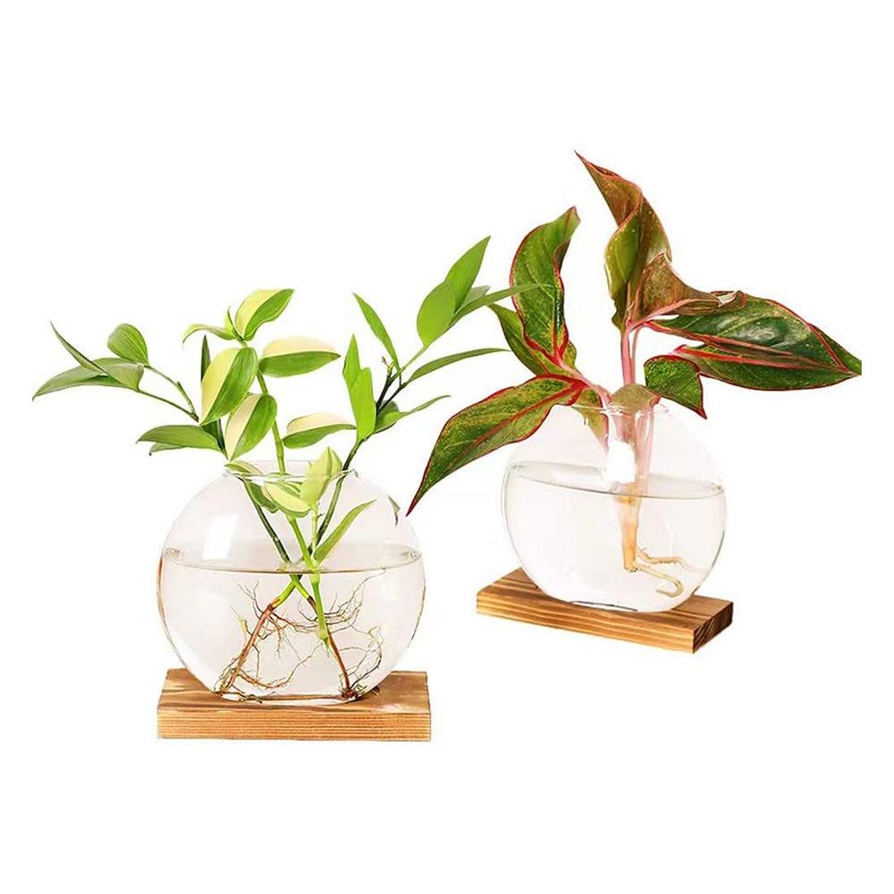 Wooden Stand Hydroponic Plants Container Transparent Glass Plants Glass Vase  Weddings