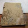 [USED] Antique Book Watanabe Family Bonsai Exhibition Catalog Japan Vintage Japan Store