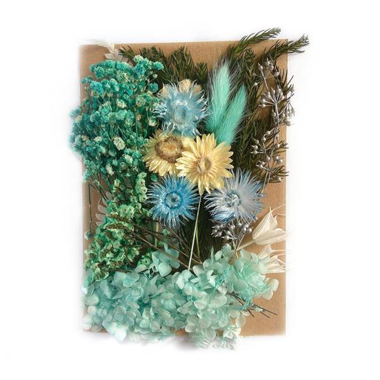Nützliche Trockenblumendekoration, auffällige, leicht zu pflegende helle Farbe