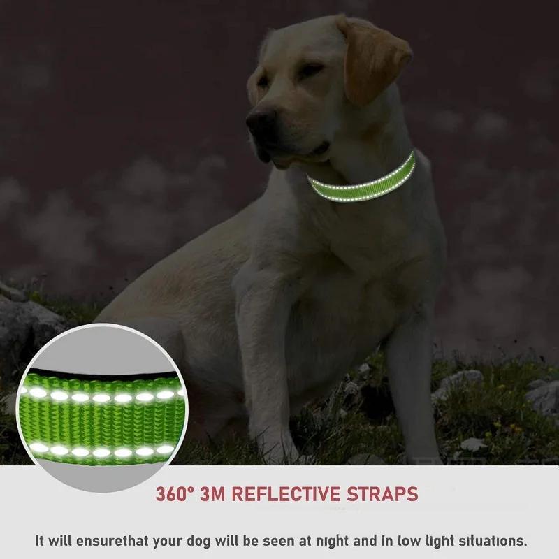 Reflective Dog Collar Strap with Adjustable Safety Nylon Pet Collar Pet Traction Rope Suitable for Small and Medium-Sized Pets