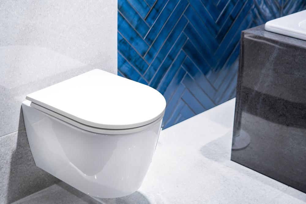 Soft-close universal toilet seat for Carsanit Kolo Roca Duroplast Kizomba