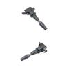 Modern Car Ignition Coil Compatible with 27301-2B120/273012B120