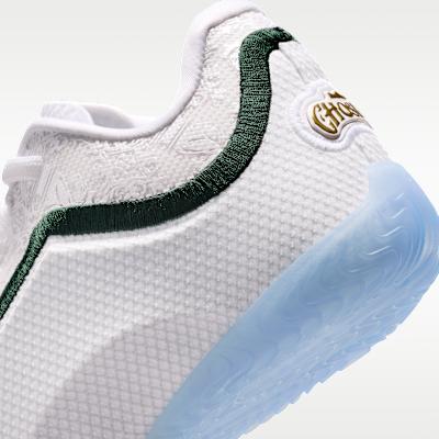 Nike LeBron 23 From This Point Forward (GS)