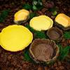 Multi-functional Crawler Water Basin Multicolor Micro Landscaping Basin  for Tortoises