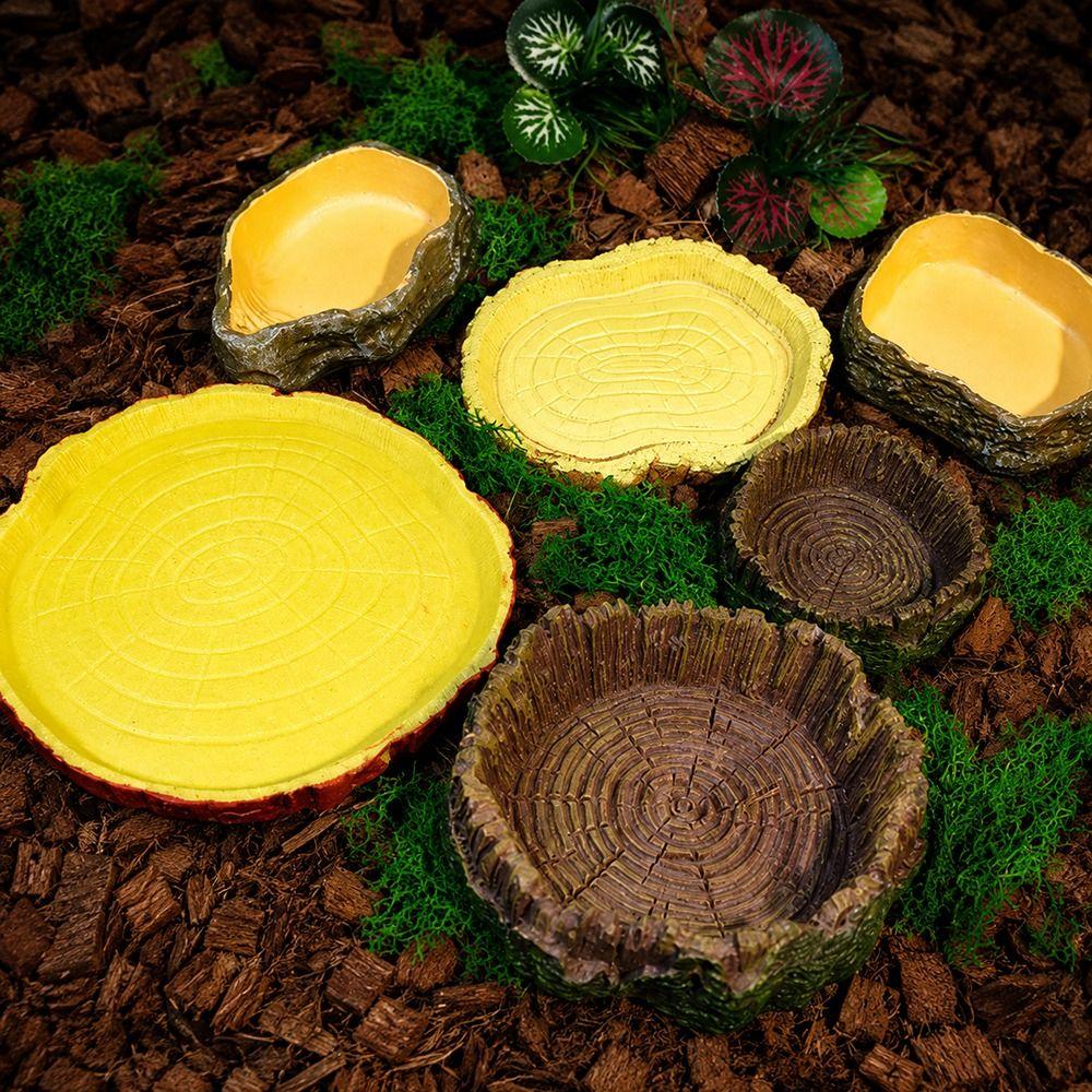 Multi-functional Crawler Water Basin Multicolor Micro Landscaping Basin for Tortoises