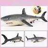 Vibrant 62.5cm Large Size Megalodon Great White Shark Simulation Animal Model For Play