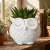 Ceramics Succulent Pot Cute Green Onion Pots Home Decor Owl Planter  Patio