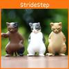 Cat Action Social Figure Cartoon Model Toy Decoration Doll Kid Gifts Ornament
