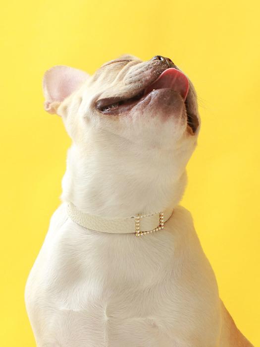 MAISON DE MIU Square Pearl Collar_White White