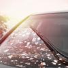 15pcs Car Effervescent Washer Tablet Auto Window Cleaning Car Solid Wiper Fine Washer Windscreen Glass Cleaner