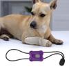 Quick Release Pet Accessories Animal Tourniquet Emergency Tourniquet Animal Pressure Straps