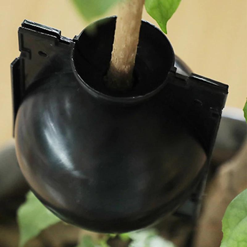 10er-Pack Veredelungsboxen für den Gartenbau, transparente Bewurzelungsstreifen, Stecklingsvermehrungswerkzeug für Obstbäume und Blumen.
