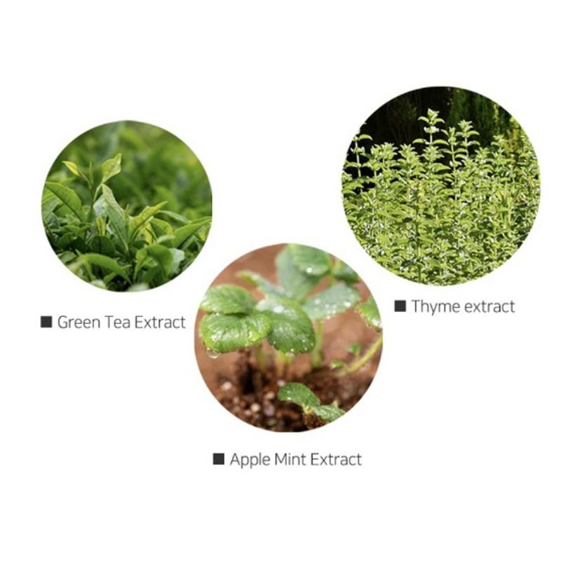 Codenature Viami Mist & Fixer (50ml 1.69fl Oz) Increase the Potential of Moisturizing