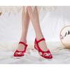 Autumn Elevator Shoes Woman Casual Harajuku Chinese Ethnic Style Canvas Vintage Embroidered Cloth Hanfu Shoes Women Zapatos