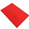 Extra Thick Red Entrance Doormat