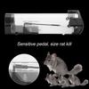 Mus Möss Råtta Gnagare Djurkontroll Fångst Bete Human Levande Fällor Hamsterbur
