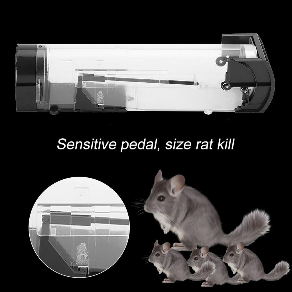 Mus Möss Råtta Gnagare Djurkontroll Fångst Bete Human Levande Fällor Hamsterbur