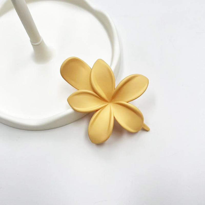 Pinces à Cheveux en Plastique Givré Forme Fleur Mode Filles Pince Crabe Bec de Canard Mignon Accessoires de Tête Barrette Antidérapante Épingles à Cheveux Cheveux Acc