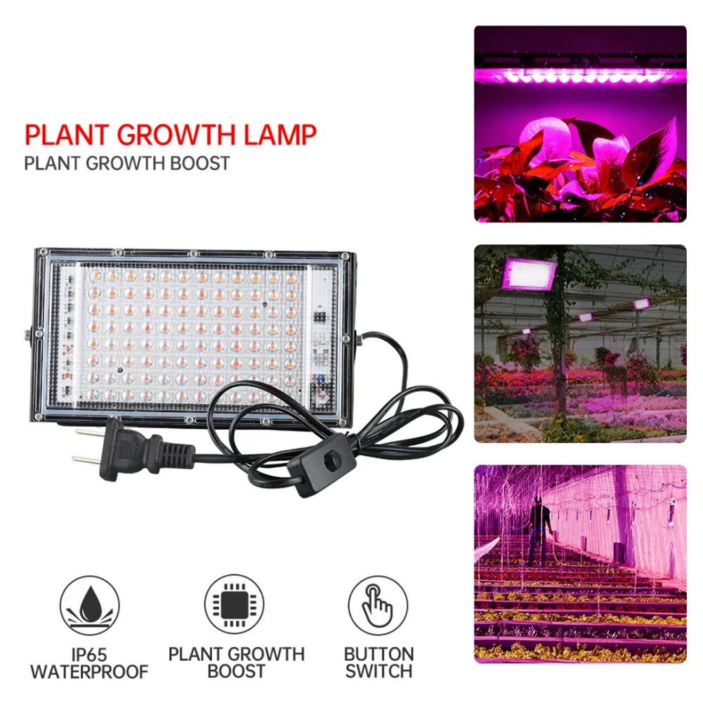 LED Plant Grow Light 50W 100W Full Spectrum Phyto Lamp For Veg And Flower Indoor Hydroponics System Heat Dissipation Grow Lamp