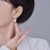 Earrings Niche Design Micro-Inlaid Zircon High-End Sense Super Flash Versatile Temperament Small Fragrant Style Earrings