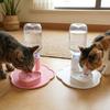 Rutschfester Katzen-Schwerkraft-Wasserspender Kunststoff Haustier-Wasserbrunnen Automatischer Haustier-Wassertank Innenbereich