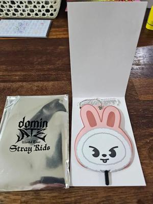 STRAY KIDS Skids dominieren Japan Skige Mini Holz Wacky Ring Ribbit Rino
